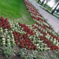 Усташка провокација у Јасеновцу!
