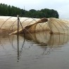 Вода се још није повукла са њива