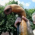 Улов стар 500 милиона година!
