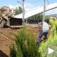Жардињере уместо барикада