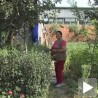 Живот у колективном центру