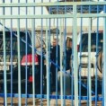 Оптужени из "Дреничке групе" у болници