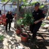 Лазарат на удару полиције 