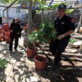 Лазарат на удару полиције 