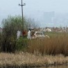 Случај "Монструм", шест доживотних казни