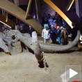 Председник Николић отворио Мамут парк