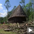 Издржала ратове, али не и олују