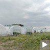 Пластеници за младе пољопривреднике
