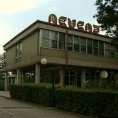 Бренд лесковачке Невене