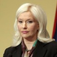 Михајловић: Влада није формирана за идеје појединаца