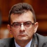 Веселиновић о положају дијаспоре