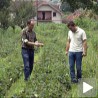 Због 10 центиметара изгубили пола милиона