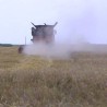 Судбина пољопривредних комбината: Златно доба