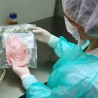 Македонци открили извор листерије
