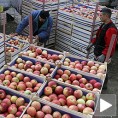 Извоз у Русију диже цене у Србији?