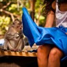 Кадрови који се хватају једанпут у животу