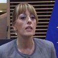 Јоксимовићева са шведским амбасадором о ЕУ