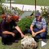 Краљевчанин у потоку пронашао драгуљ од 100 кила!