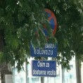 Саобраћајни знаци заклоњени растињем