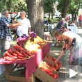 Продата сва паприка