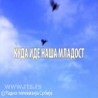 Куда иде наша младост
