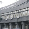Страдала због замке за дивље свиње