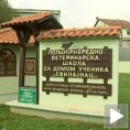 Ђаци за Србију