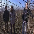 Наука у селу: Удруживање пут ка успеху
