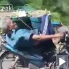 Рутинер!