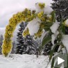 Снежна мећава на Голији