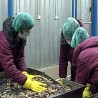 Инспектори проверавају хладњаче