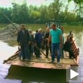 Скелеџије опет на Морави