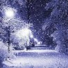 Аутограм