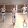 Сокобањски мајстори каратеа