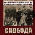 Дан ослобођења Зрењанина 