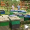 Село као избор и изазов