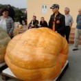 Једва нашли вагу да измере рекордну бундеву