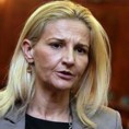 Мишчевић: Споразум са Русијом до уласка у ЕУ