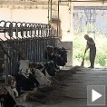 Војводина спремна за приватизацију