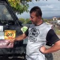 Књажевачки шампион