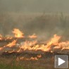Пожари на отвореном