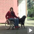 Ускоро уредба о псима помагачима