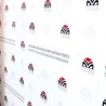 СВМ: Бројни Мађари нису могли да гласају