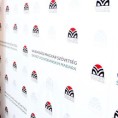 СВМ: Бројни Мађари нису могли да гласају