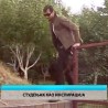 Културни дневник