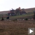 Пештер чезне за новим стадима