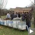 Саветовање пчелара