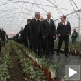 Николић отворио пластеник у Костолцу