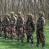 Више мађарских војника на Косову и у Босни