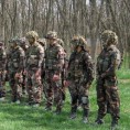 Више мађарских војника на Косову и у Босни